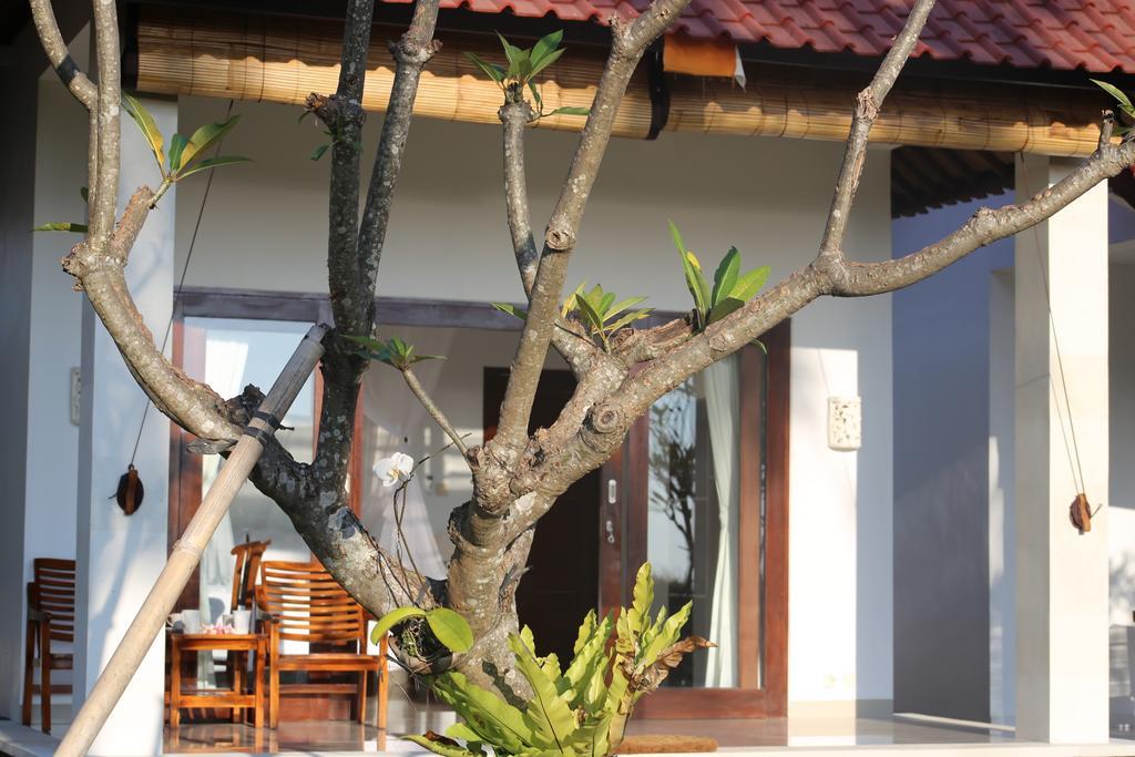 Soka Amed Beach ห้อง รูปภาพ